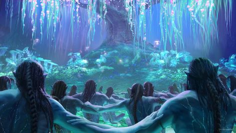 Avatar Aesthetic, Avatar 2 Movie, Avatar 1, Blue Avatar, Avatar James Cameron, Avatar Films, Avatar Picture, Water Aesthetic, The Legend Of Korra