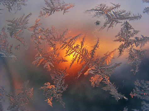 Snow Beauty, Ice Aesthetic, Ice Photo, Ice Photography, Sun Aesthetic, Orange Glow, The Setting Sun, Winter Frost, Winter Cabin