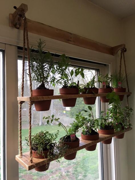 Window Herb Garden, Window House, Hanging Herb Garden, Indoor Plant Wall, Herb Wall, Hanging Herbs, Herb Garden In Kitchen, Window Plants, Garden Shelves