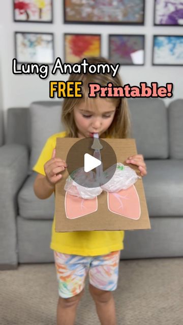 Lungs Experiment For Kids, Lung Crafts For Kids, Lungs Activities For Kids, Lungs Experiment, Lung Activity For Kids, Science Decoration Ideas, Lungs Activity, Lung Project, Respiratory System Projects