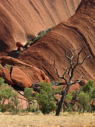 Mutitjulu Waterhole - Uluru Kata Tjuta National Park, Central Australia Northern Australia, Australia City, Central Australia, Australia Landscape, Beautiful Australia, Australian Continent, Ayers Rock, Australian Landscape, Outback Australia