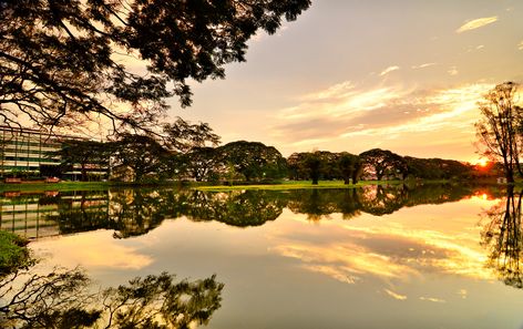 Taman Tasik Taiping, Taiping Perak, Ipoh Malaysia, Perak Malaysia, Rain Tree, Lake Garden, Taiping, Dawn And Dusk, Water Table