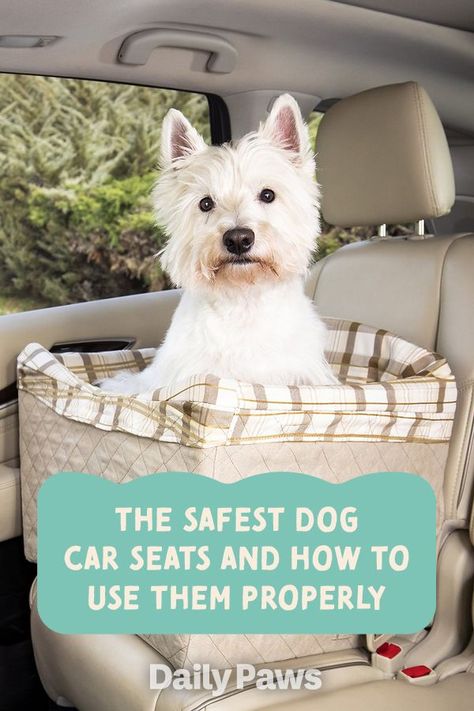 Give your dog a dedicated space in the car with a dog car seat. These are the 6 car seats we recommend to keep your dog safe while traveling. #petessentials #petgear #pettoys #treats #dogtoys #cattoys #cattreats #dogtreats #petexperience Dog Booster Seat For Car, Diy Dog Car Seat Ideas, Dog Seat For Car, Dog Car Seat Diy, Small Dog Car Seat, Puppy Car Seat, Dog Car Booster Seat, Dog Car Safety, Dog Corner