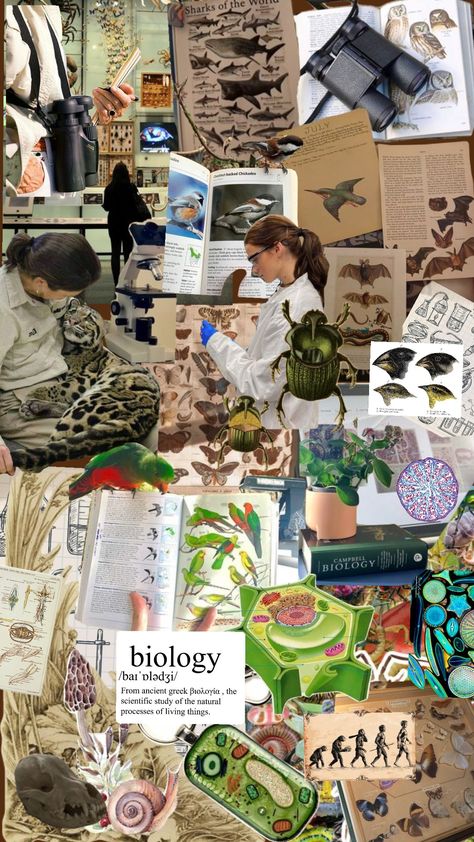 #naturalistcollage #collage #biology #biologystudent #biologyaesthetic #biologyshuffle #student #studentcore #science Marine Biology Collage, Science Students Aesthetic, Biological Sciences Aesthetic, A Level Biology Aesthetic, Biology Moodboard, Bio Student Aesthetic, Scientist Aesthetic Biology, Science Aesthetic Biology, Science Wallpaper Biology Aesthetic