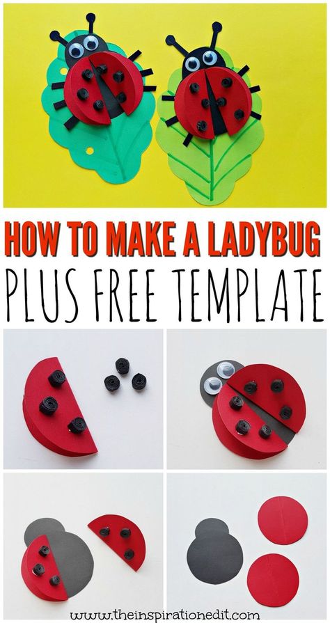 Today we have a super easy ladybug craft which is a brilliant preschool activity idea for little ones . This paper ladybug craft is a great spring themed art idea and a fabulous idea for developing fine motor skills.  #spring #paper #template #free Spring Crafts Ladybug, Ladybug Art For Kids, Preschool Ladybug Craft, Spring Theme Crafts, Insects Crafts Preschool, Preschool Ladybug, Ladybug Crafts For Kids, Ladybug Activity, Paper Ladybug Craft