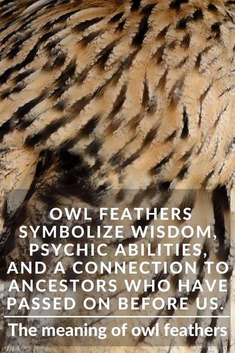 Spotted Feather Meaning, Owl Feather Meaning, Owl Spirit Animal Meaning, Brown Feather Meaning, Owl Feather Tattoos, Feather Magic, Owl Feathers, Digital Grimoire, Owl Magic