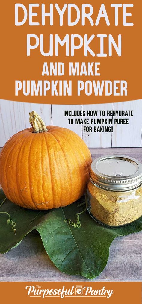 Dehydrate Pumpkin, Preserve Pumpkin, Making Pumpkin Puree, Preserving Pumpkins, Pumpkin Powder, Dehydrating Food Storage, Food Dehydration, Dehydrated Vegetables, Canning Food Preservation