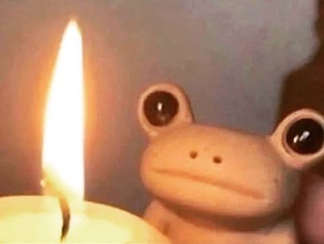 Arson Frog, Frog Photo, Ideas Style, Home Ideas, Style Inspiration, Funny