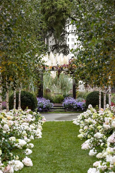 6 award-winning garden designs to recreate at home Birch Trees Garden, Design A Garden, Australian Garden Design, Small Garden Ideas, Beautiful Home Gardens, Hydrangea Garden, Hydrangea Paniculata, Australian Garden, English Cottage Garden