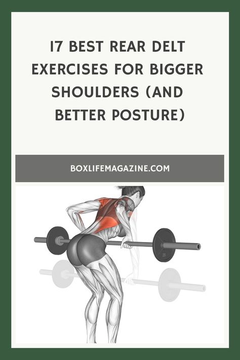 17 Best Rear Delt Exercises For Bigger Shoulders (And Better Posture) Posterior Deltoid Workout, Back Deltoid Workout, Shoulder Boulders, Rear Deltoid Exercises, Delt Exercises, Rear Delt Exercises, Bigger Shoulders, Strengthen Shoulders, Deltoid Workout