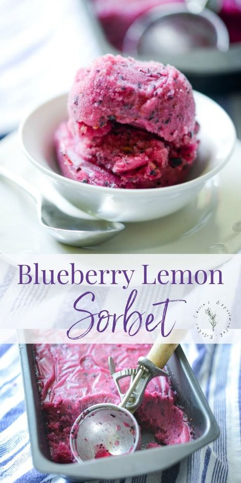 Boho Cakes, Sorbet Dessert, Blueberry Sorbet, Dessert Lemon, Fruit Sweets, Lemon Juice Benefits, Summer Eats, Frozen Dessert Recipe, Make Simple Syrup