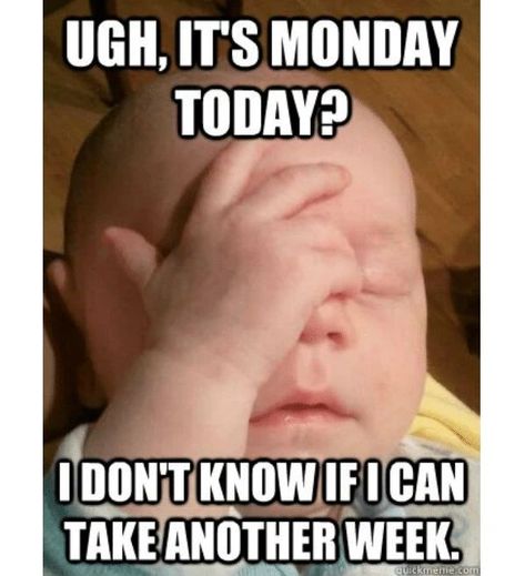 ugh... #MondaysSuck Funny Monday Images, Monday Jokes, Funny Monday Memes, Monday Humor Quotes, Morning Memes, Good Morning Funny Pictures, Monday Memes, Weekday Quotes, Monday Humor