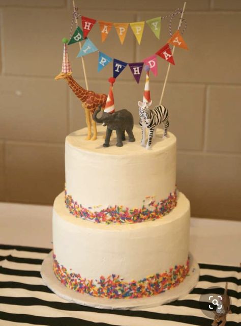 Pastel Zoo Birthday Party, Zoo Animals Birthday Party, Party Animal Theme Cake, Zoo Bday Party Ideas, Party Animal Party Food, Zoo Third Birthday Party, Party Animal Birthday Theme Cake, Zoo Animal Party Ideas, Wild Animal Birthday Party Food