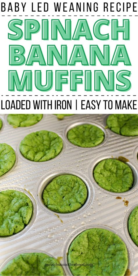 spinach banana muffins in muffin tray Baby Led Weaning Muffins Healthy, Healthy Snacks For 10 Month Old, Baby Led Weaning Banana Recipes, Spinach Muffins For Baby, Led Weaning First Foods 6 Months, Baby Finger Foods 9 Months, Easy Blw Meals, Blw Recipes 6 Months, Spinach Banana Muffins