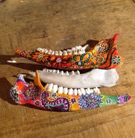 Painted Deer Jaw Bone, Painted Jaw Bone, Painting Bones, Painted Bones, Stick Fence, Deer Bones, Painted Animal Skulls, Deer Skull Art, Painted Cow Skulls