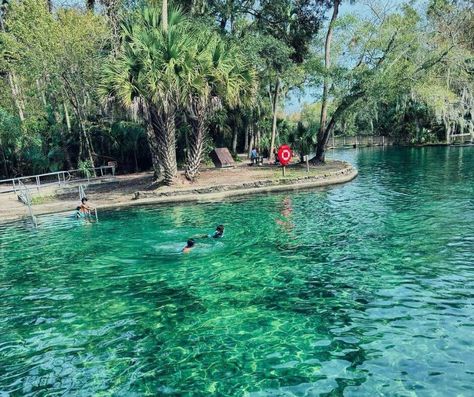 Discover the Natural Wonders of Wekiwa Springs State Park - Hidden Gems US Apopka Florida, Florida Springs, Rock Springs, Natural Swimming Pool, Canoe Trip, Natural Playground, Natural Heritage, Swimming Holes, Canoe And Kayak