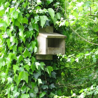 Simple Bird Nesting Box on Instructables.com Bird Nesting Box, Purple Martin House, Birdhouses Bird Feeders, Recycled Garden Art, Birdhouse Craft, Flycatchers, Bird House Kits, Bird Aviary, Birdhouse Designs