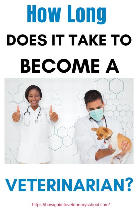 How Long Does It Take To Become A Veterinarian? How long does it take to become a veterinary surgeon? How long does it take to become an avian/exotic vet? We cover it all! #DVM #vetmed  #animaldoctor #veterinarian #vetstudent #prevet Veterinarian Medicine, Vet School Acceptance, Vet University, Large Animal Veterinarian, Becoming A Veterinarian, Veterinary Surgeon, Large Animal Vet, Veterinary School, Animal Doctor