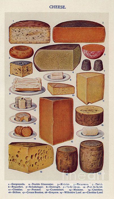 Mrs Beeton's cheeses c.1900's Vintage Pasta, Advertising Archives, Coastal Art Prints, Food Chart, Kitchen Cook, Cheese And Wine, Household Management, Cheese Tasting, Gallery Wall Ideas