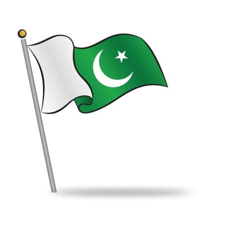 Pic art Pakistani Background, Pakistani Flag Drawing, Pakistan Flag Wallpaper, Flag Pakistan, 23 March Pakistan, Sahara Earrings, Independence Day Pictures, Happy Independence Day Pakistan, Pakistani Flag