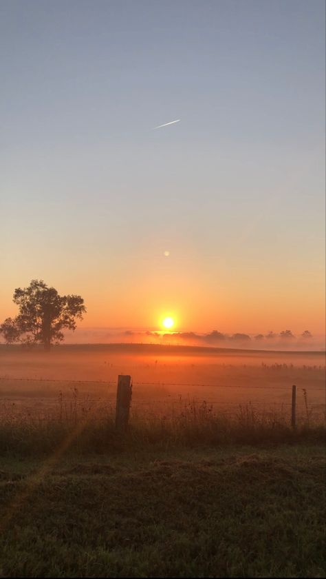 Sunrise sun beautiful early morning aesthetic nature meadow foggy Sunset Meadow Aesthetic, Vision Board Sunrise, Sierra Core Aesthetic, Beautiful Sunrise Mornings, Sundown Aesthetic, Aesthetic Meadow, Morning Aesthetic Sunrise, Midwest Sunset, Sierra Core