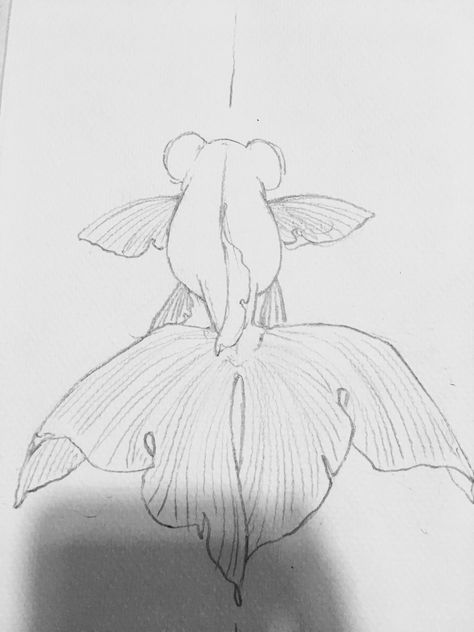 Oranda Goldfish Drawing, Cute Goldfish Drawing, Cute Fish Drawing, Goldfish Drawing, Mermaid Sketch, Goldfish Art, Fish Goldfish, Fish Drawings, Poses References