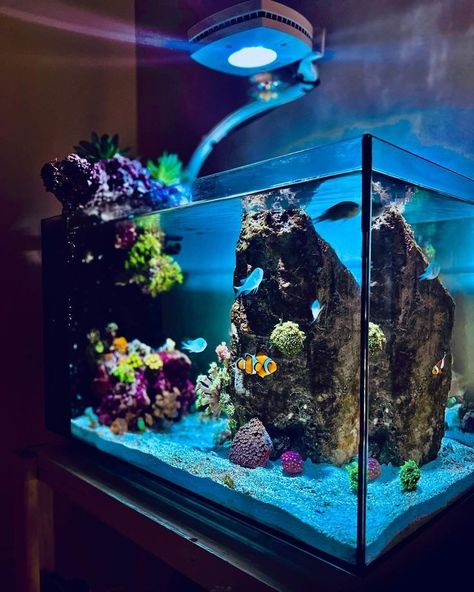 Salt Water Aquarium Ideas, Aquarium Hacks, Small Turtle Tank, Salt Water Aquarium, Cool Fish Tank Decorations, Unique Fish Tanks, Turtle Tank Setup, Turtle Tanks, Nano Reef Tank