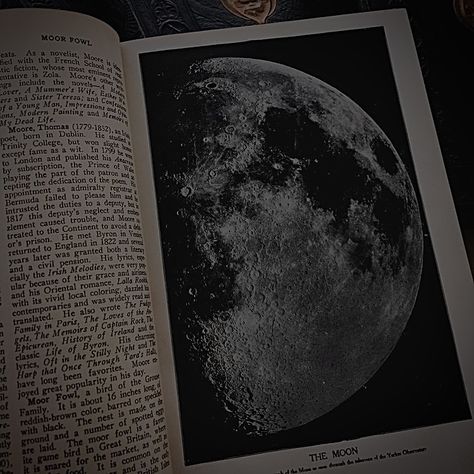 Zodiac Academy, Morgan Hill, Arte Van Gogh, Look At The Moon, Brasov, Dark Academia Aesthetic, Academia Aesthetic, Space And Astronomy, The Marauders