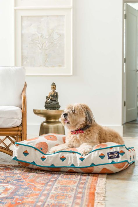 Annie Digs makes dog pillows that design lovers can display with pride. We gave Annie Digs everything it needed for a memorable launch, including a playful but sophisticated visual identity and a Shopify website optimized to attract customers. Visit designgood.com for more details Dog Cushion Bed, Aesthetic Dog Bed, Dog Living Room, Unique Dog Beds, Dog Pillows, Designer Dog Beds, Pet Spaces, Pet Cushions, Dog Cushions