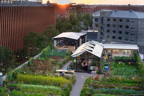 Stedsans at ØsterGRO. Clean, simple and local urban farming Top Of A Building, Organic Restaurant, Rooftop Dining, Farm Restaurant, Communal Table, Vertical Farming, Pub Set, Urban Agriculture, Urban Farm