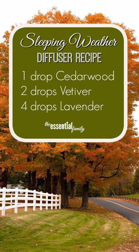 Tips And Techniques For diy peppermint essential oil spray Sleep Diffuser Blends, Fall Essential Oils, Helichrysum Essential Oil, Doterra Diffuser Blends, Essential Oils For Sleep, Essential Oil Diffuser Recipes, Oil Diffuser Recipes, Cedarwood Oil, Citrus Essential Oil