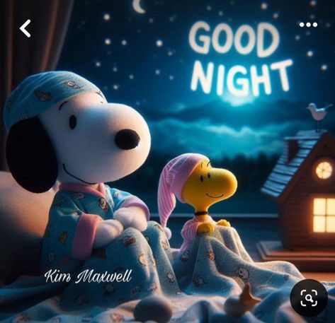 Snoopy Evening, Snoopy Good Night, Night Humor, Goodnight Snoopy, Goodnight Friends, Grandkids Quotes, Cheerful Quotes, Photos Of Good Night, Weekend Greetings