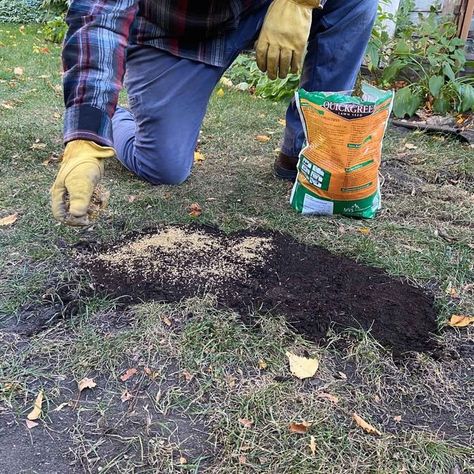 Filling Yard Holes Dug by Pets | Family Handyman Fill Holes In Yard, Filling Holes In Yard, Stop Dog From Digging Holes In Yard, Dog Digging Holes Stop, Dog Digging Area, Leveling Yard, Dogs Digging Holes, Stop Dogs From Digging, Dog Friendly Garden