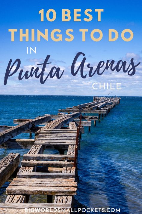 Punta Arenas, On The Road Again, Best Places To Eat, Life Goes On, South American, Latin America, America Travel, Travel Insurance, Central America