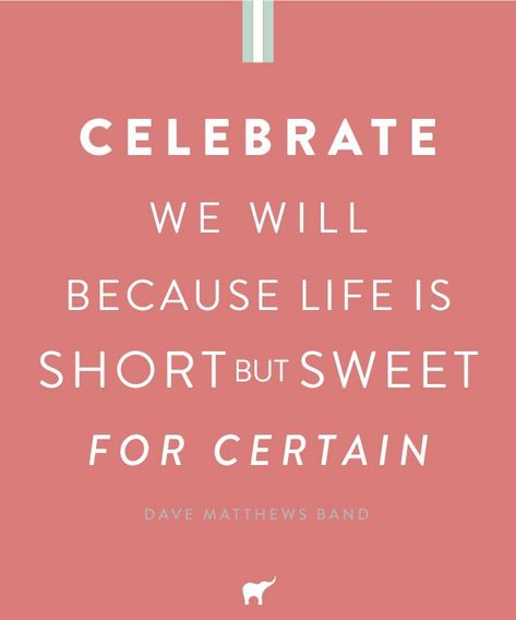 Dave Matthews Band Celebrate Quotes by @quotesgram Dave Matthews Quotes, Celebrate Quotes, Dave Matthews Band Lyrics, Band Lyrics, Lyric Tattoos, Dave Matthews Band, Celebrate Life, Dave Matthews, Celebration Quotes