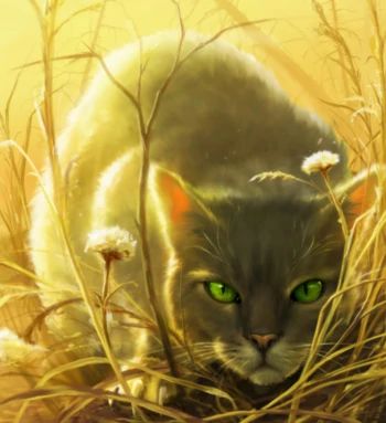 Dovewing Warrior Cats, Green Eyes, Leadership, Lion, Green