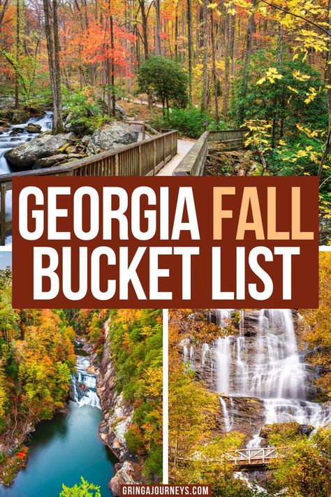 Top photo: The bridge to Anna Ruby Falls surrounded by fall leaves, bottom left photo: Tallulah Gorge State Park in the fall, bottom right photo: Anna Ruby Falls in the autumn Atlanta Vacation, Georgia Fall, Picking Apples, Best Pumpkin Patches, Apple Orchards, Georgia Vacation, Fall Road Trip, Fall Festivals, Fall Vacations