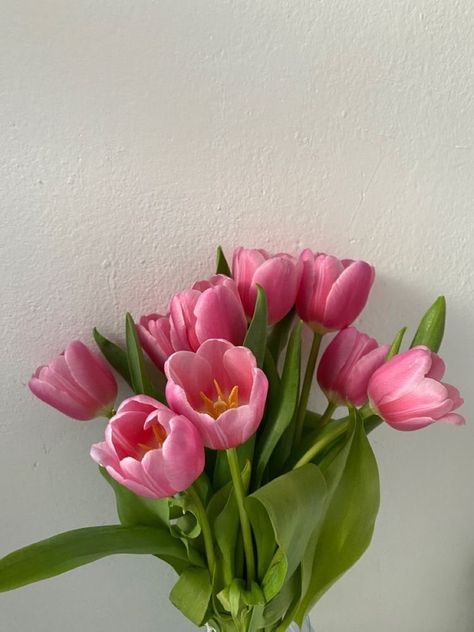 Opened Tulips, Open Tulips, Pink Tulips Bouquet, Lingerie Styles, Boquette Flowers, Tulip Bouquet, Nothing But Flowers, Flower Therapy, No Rain