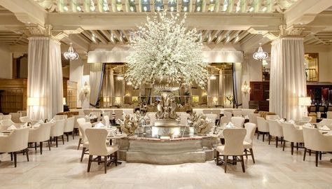 Holiday Afternoon Tea at The Drake Hotel with Harpist and Carolers!!! Drake Hotel Chicago, Chicago Travel Guide, Drake Hotel, Palmer House, Best Afternoon Tea, Palm Court, Magnificent Mile, Hilton Hotels, Visit Chicago