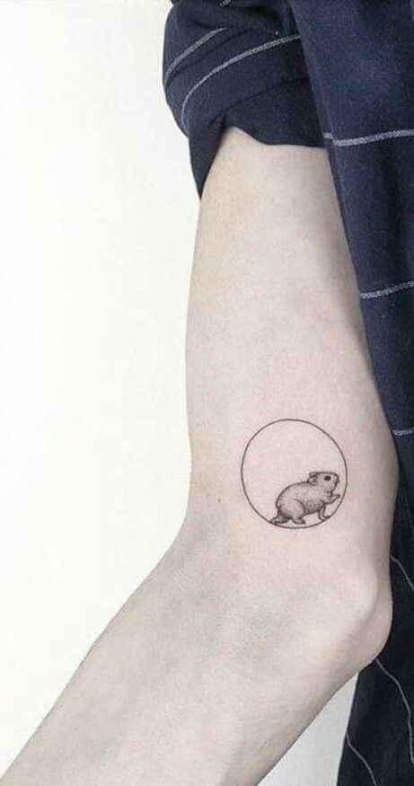 animal, hamster, and minimalistic image Hamster Tattoo Ideas, Hamster Tattoo Minimalist, Hamster Tattoo, Rat Tattoo, Pig Tattoo, Mouse Tattoos, Baby Hamster, Paw Tattoo, Hamster House