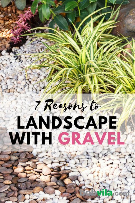 Hate mowing the lawn? Check out these 7 reasons you should seriously consider gravel for your landscape. Rock Flower Beds, Sloped Backyard Landscaping, Mowing The Lawn, Front Lawn Landscaping, Mulch Landscaping, Gravel Landscaping, Small Yard Landscaping, River Rock Landscaping, Sloped Backyard