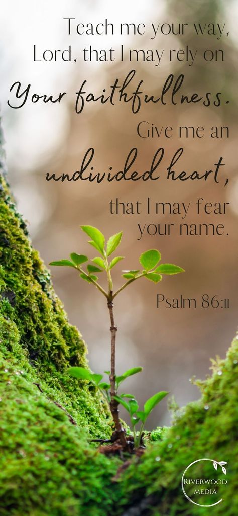 Psalms Quotes, Psalm 86, Bible Verse Background, Bible Words Images, Bible Quotes Images, Powerful Bible Verses, Biblical Verses, Prayer Scriptures, Inspirational Bible Quotes