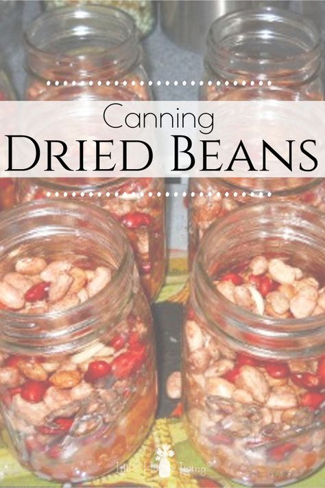 Canning dry beans is an easy and frugal way to have beans available for quick meals and is a great project to do during the winter months when you don't have fresh garden vegetables that need to be canned. #canning #preserving #driedbeans #soakedbeans #beans #canningdrybeans Canning Lima Beans, Canning Dry Beans, Canning Dried Beans, Canning Beans, Dry Beans Recipe, Pressure Canning Recipes, How To Soak Beans, Canning Tips, Dry Beans