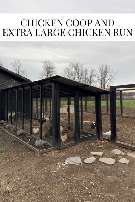 Chicken Coop and Extra Large Chicken Run - Homemade Chicken Run, How To Make A Chicken Run, Large Chicken Coop Ideas, Enclosed Chicken Run, Large Chicken Run, Free Range Chickens Coop, Chicken Run Plans, Chicken Coop Winter, Chicken Run Ideas