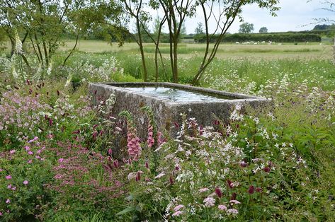 Stone Trough, Beautiful Gardens Landscape, Garden Pond Design, Garden Water Feature, Eco Friendly Garden, Natural Swimming Pool, Pond Design, Rustic Stone, Water Features In The Garden