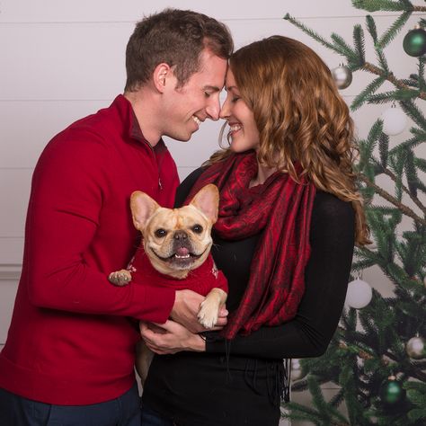 Love is the reason for the season. Spread the love this holiday, and include everyone on your Christmas list – including your pet! Pets are welcome at all JCPenney Portraits locations and are the perfect addition to your holiday photos. Visit our gallery to find more fun ideas for your next session. Christmas Card With Dog Couple Funny, Christmas Photos With Dogs Xmas Cards, Christmas Photoshoot With Cat, Jcpenney Christmas Portraits, Pet Holiday Photos, Happy Holidays Pictures, Funny Couple Photos, Jcpenney Portraits, Christmas Family Photoshoot