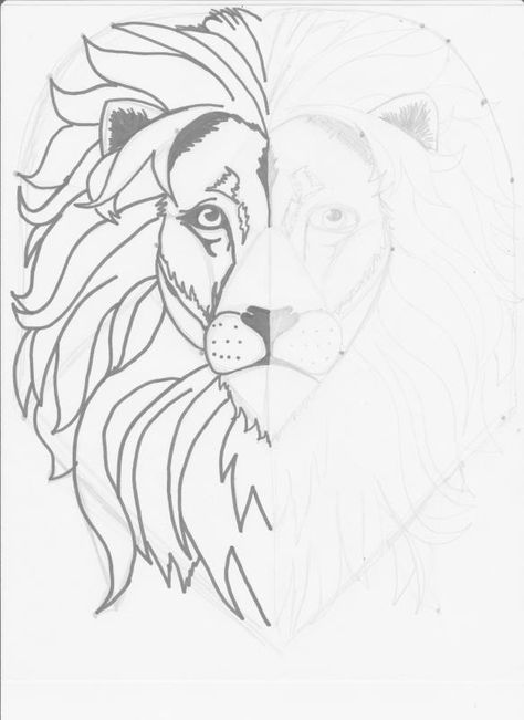 Mirror Image Lion Drawing: Week Two, Classical Conversations Lion Drawing Simple, Lion Face Drawing, Qi Lin, Lion Sketch, Lion Drawing, Leo Tattoos, Easy Drawing Tutorial, Lion Painting, Cool Pencil Drawings