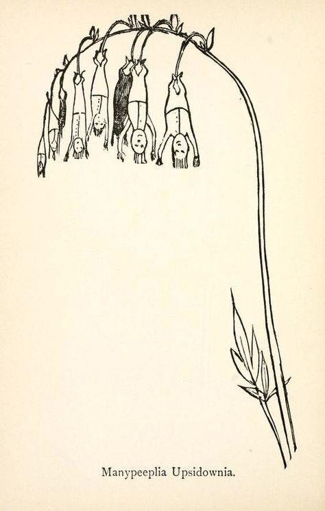 Edward Lear’s Nonsense Botany (1871–77) – The Public Domain Review Edward Lear, Painting Subjects, Writing Art, Weird Stories, All Friends, New York Public Library, Children's Book Illustration, Book Illustration, Botanical Illustration