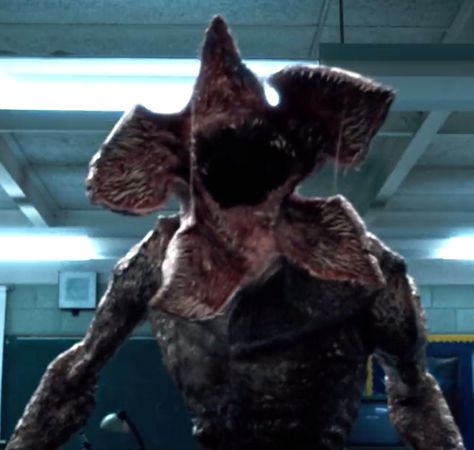 Demogorgon attack inside the high school (S01E08) Demogorgon Costume, Stranger Things Monster, Demogorgon Stranger Things, Stranger Things Upside Down, Stranger Things Halloween, Stranger Things Mike, Stranger Things Poster, Stranger Things Season 3, Stranger Things Characters