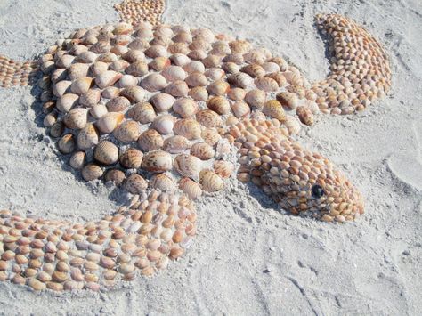 Photography Ideas Beach, Art Coquillage, Turtle Love, Sand Sculptures, I Love The Beach, Sanibel Island, Seashell Art, A Turtle, Beach Crafts